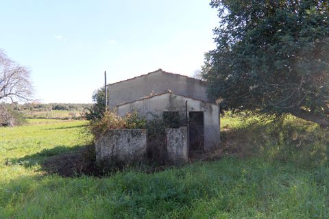 Herregård i Ispica, Ragusa, Ispica - € 120 000 | Ref: V003074 - foto 8